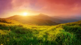 Persuade Your Heart into Hope
