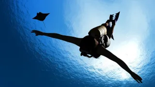 Dive Deeper in Faith & Wellness