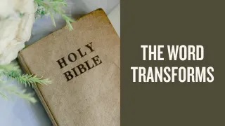 God's Word Cleanses, Guides & Frees You