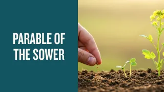 Planting God's Word in Your Heart