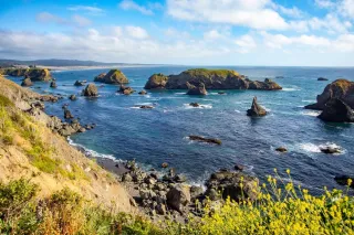Discover Your Dream Home | Northern California's Hidden Gems