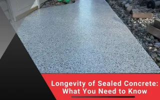 Benefits of Concrete Sealing for Longevity