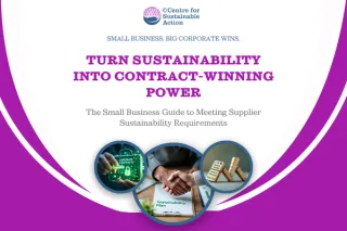 Win Corporate Contracts: The Small Business Guide to Meeting Supplier Sustainability Requirements