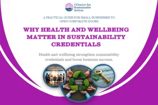 🌿 Why Health and Wellbeing Matter in Sustainability Credentials