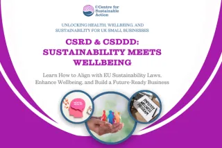 CSRD & CSDDD: What UK Small Businesses Need to Know About Health, Wellbeing, and Sustainability