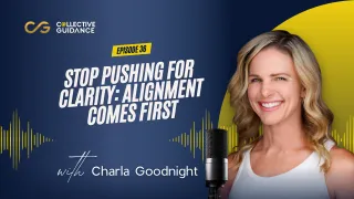 Episode 36 : Stop Pushing For Clarity: Alignment Comes First