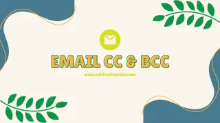CC & BCC Email