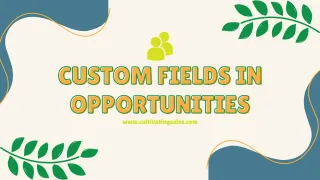 Custom Fields In Opportunities