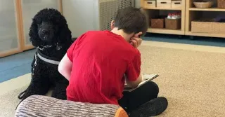 Don't Get An Autism Dog For Your Kid