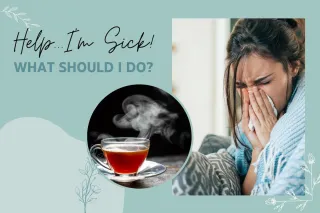 What to do When You're Sick