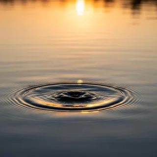 Mobile Notary Services Snohomish County: The Ripple Effect