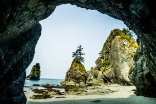 Adoption Notary Services | Mobile Notary Lake Stevens & Snohomish County
