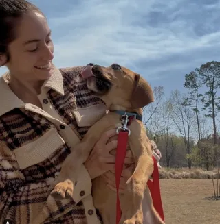 Dogs are the best!