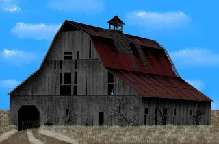 From Tree To Table: The Journey Of Reclaimed Wood