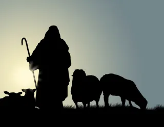 Where the Shepherd Leads 