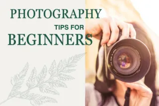 Photography Tips for Beginners | Summer Photo Edition