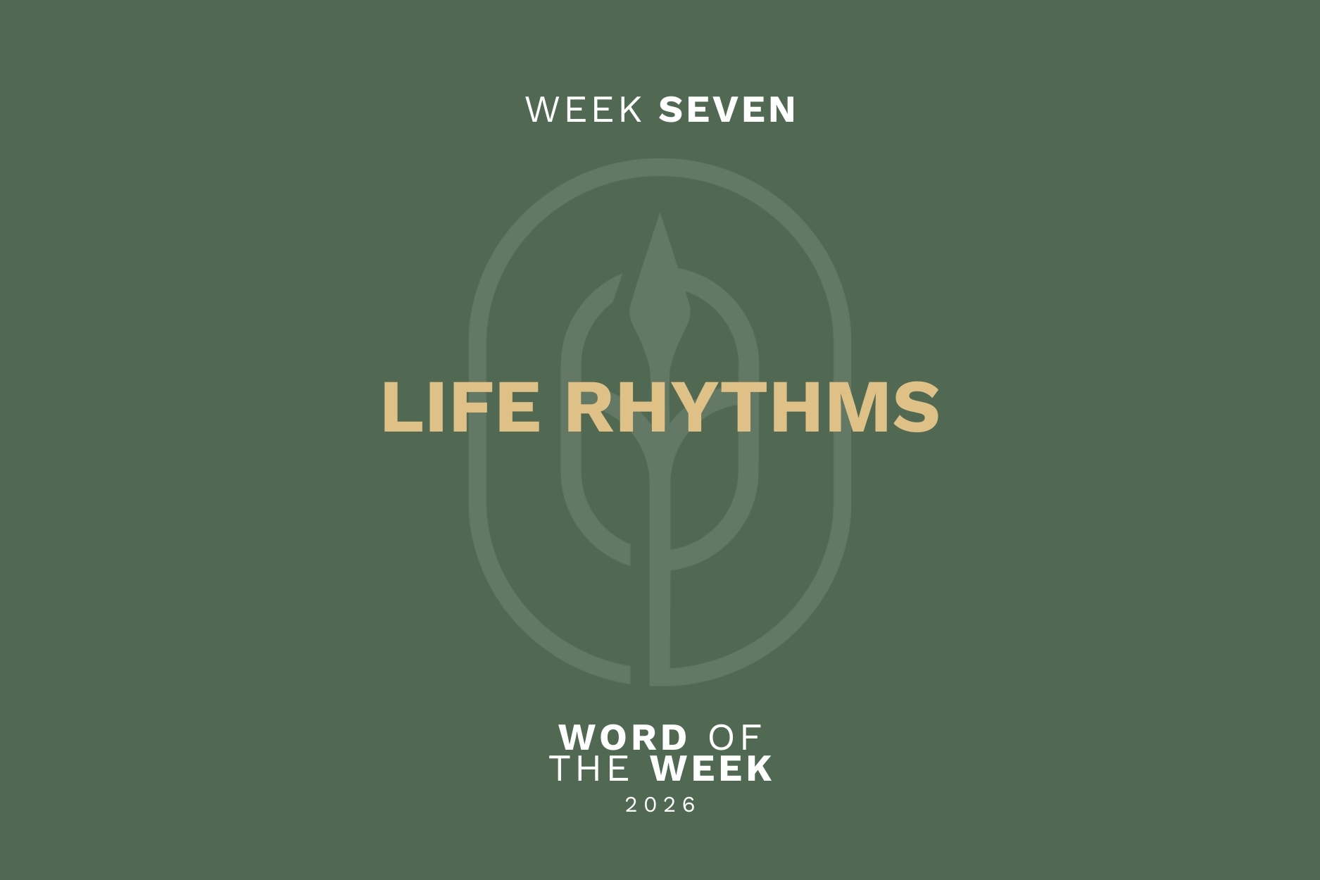 Life Rhythm