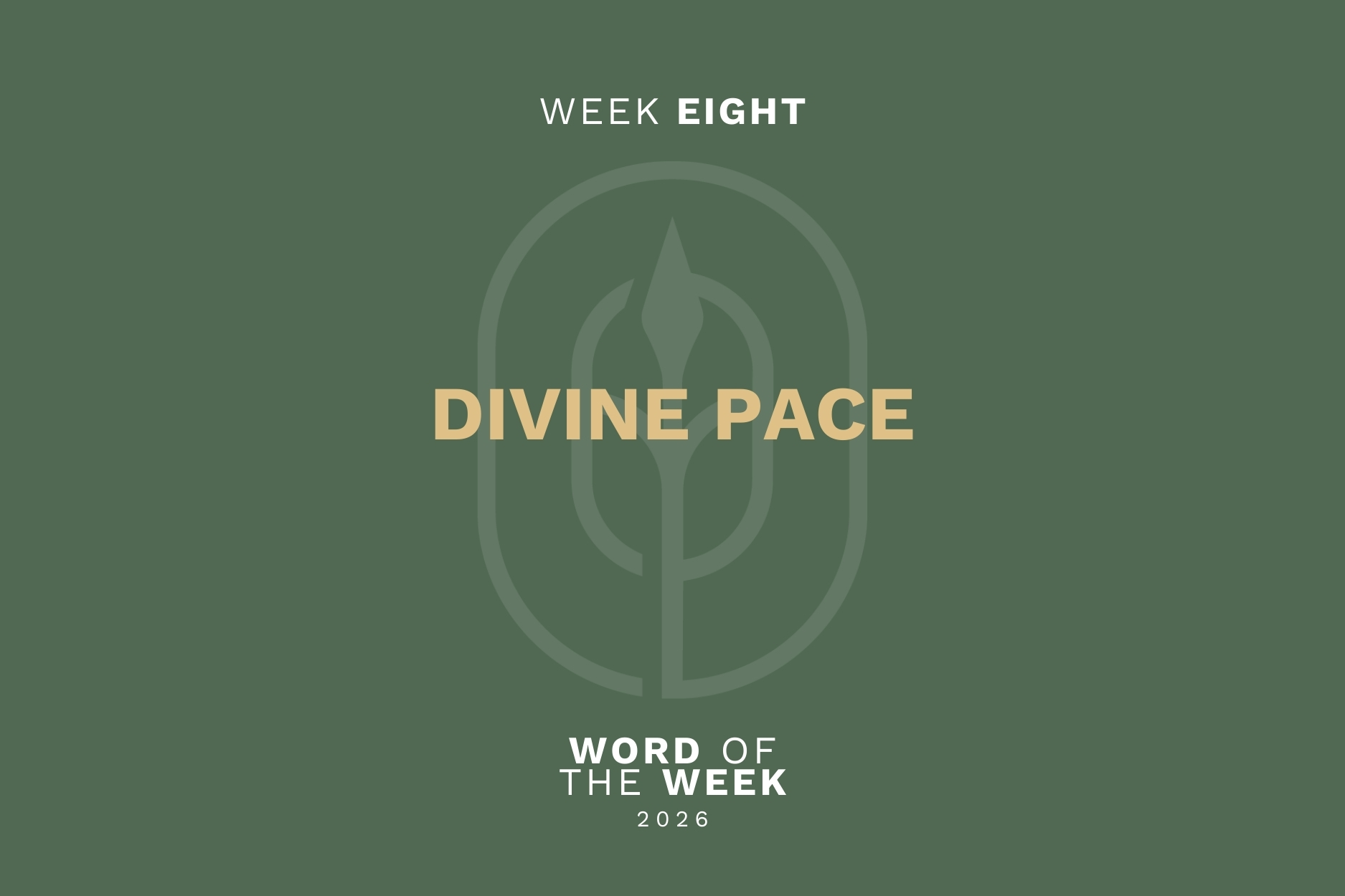 Divine Pace