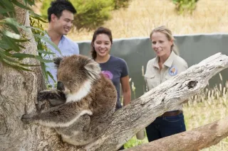 A Family-Friendly Guide to Traveling in Australia