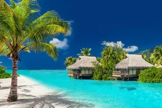 Where Are You Going This Summer?