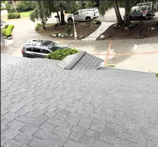 How to Safely Clean and Treat Your Roof in Bellingham, WA (Homeowner Guide)