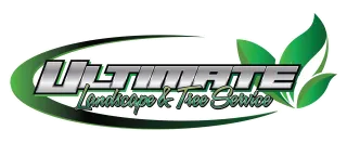 Want the Perfect Yard? Expert Tips for a Natural Landscape