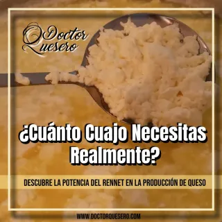 ¿Cuánto Cuajo Necesitas Realmente? Descubre la Potencia del Rennet en la Producción de Queso