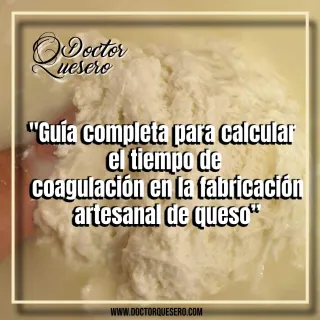 Guía completa para calcular el tiempo de coagulación en la fabricación artesanal de quesos Artesanales