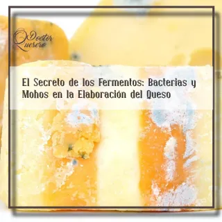 #37 El Secreto de los Fermentos: Bacterias y Mohos en la Elaboración del Queso