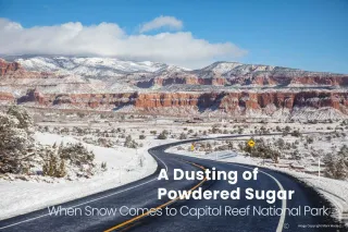 A Dusting of Powdered Sugar: When Snow Comes to Capitol Reef National Park