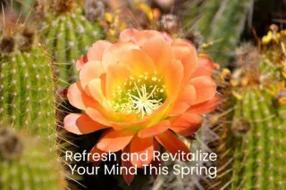 Refresh and Revitalize Your Mind This Spring