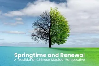 Springtime and Renewal: A Traditional Chinese Medical Perspective