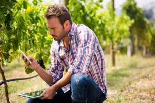 6 Key factors you must know to set up a killer Facebook Pages for your wine business