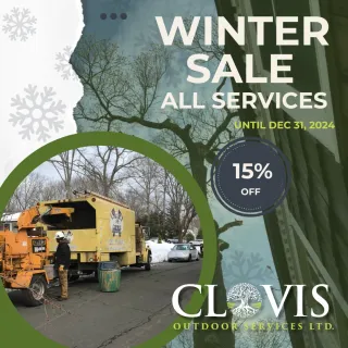 Winter Prep: Tree and Roof Maintenance Tips for Long Island Homes