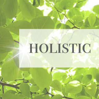 Embracing Holistic Nursing: A Path to Wholeness