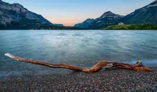 The Stick and the Stage: Reframing Your Public Speaking Fears
