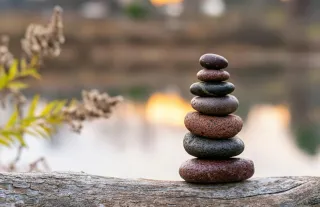 Longevity 2.0: Why "Healthspan" is the New Mastery