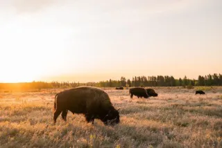 When Is the Best Time to Sell Your Home in Winkler, Morden & the Pembina Valley