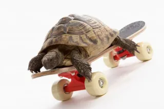 How to Work Smarter, Not Harder