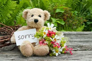 The Power of Apology: How to Say Sorry and Mean It