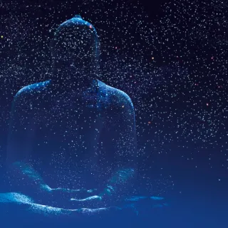 The Power of stillness 