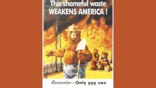 Only You: The somewhat depressing history of Smokey the Bear.