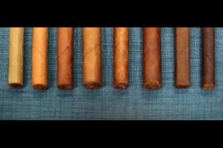 Top-Rated Wraps You’ll Find at Ruby's Smoke Shop in 2025
