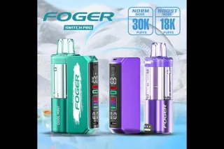 Long-Lasting Foger Switch Pro Flavors You’ll Love