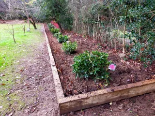 The Best Perennials for a Winter Garden
