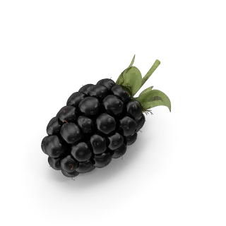 Blackberries, Growth & Togetherness