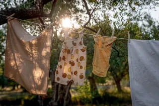 Sun, Redos & Databases