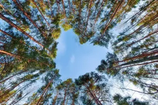 Love Languages (for the Earth)