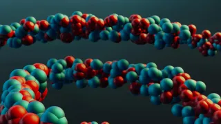 Unlocking Your Health Blueprint: A Look at Modern DNA and Functional Tests