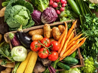 Eating with the Seasons: Why Your Ancestors Were Right